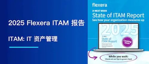 2025 Flexera ITAM 报告