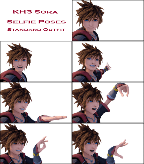 r/KingdomHearts - All Selfie Poses with transparent backgrounds. Meme Away friends.