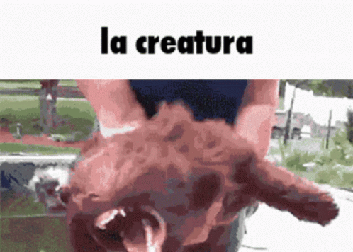LmdpZg.gif