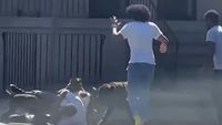 Cop Shoots at Pack of Dogs Attacking Man in the Street in Harrowing Video