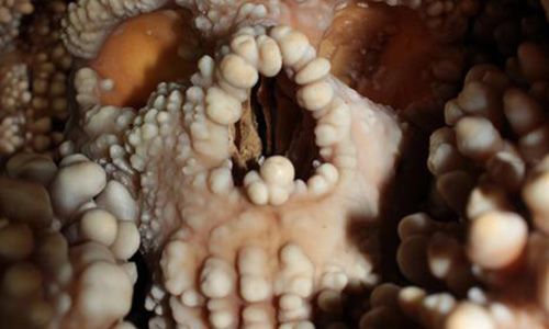 The Salmon River mainstem.