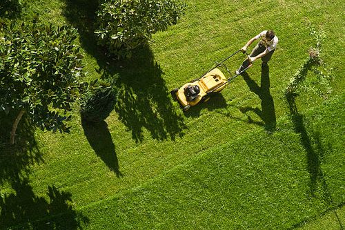 using lawn mower - house lawn stock pictures, royalty-free photos & images