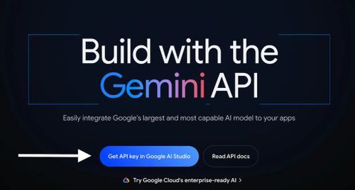 Clicking on Gemini's API key button