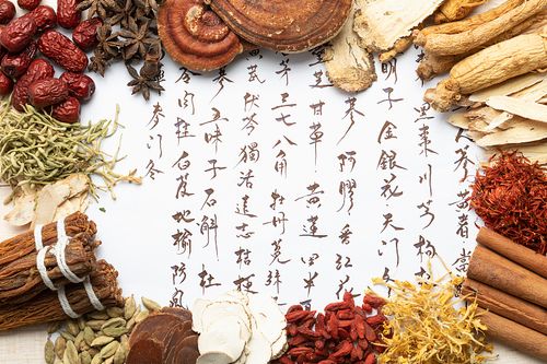 金银花 中药材图片下载