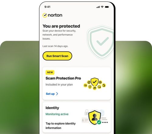Norton VPN