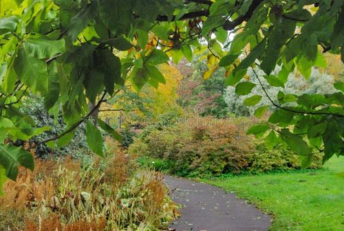 Riga Botanical Garden