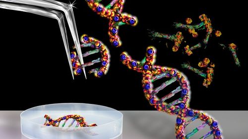 The First Crispr Treatment Is Making Its Way to Patients