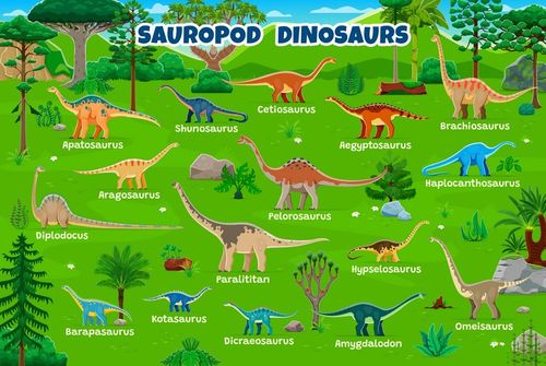 Prehistoric sauropod dinosaurs infographics Vector Image