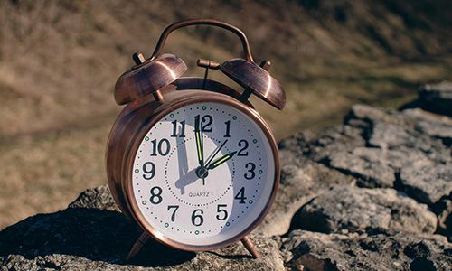 Trawling vessel in the Gulf of Panama with pelicans and cormorants.