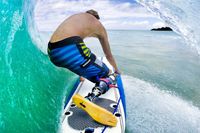 The complete directory of adaptive surfing organizations