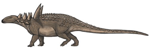 Sauropelta edwardsorum