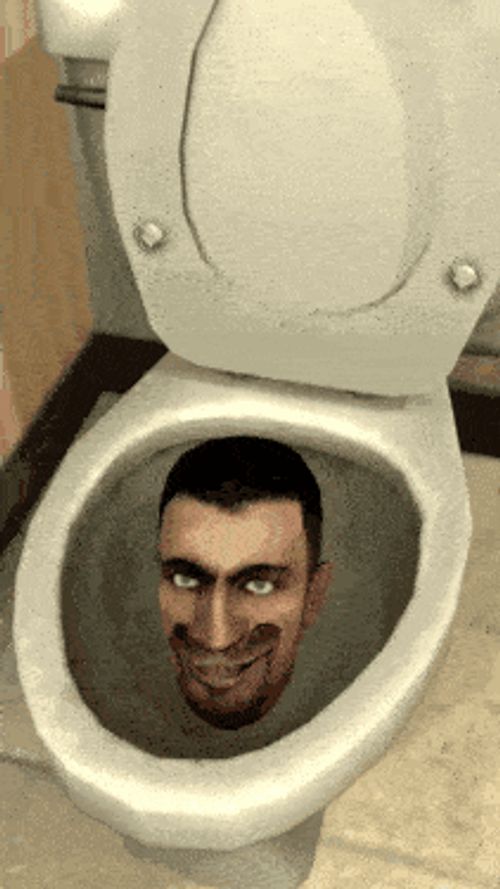 Normal Skibidi Toilet Meme GIF