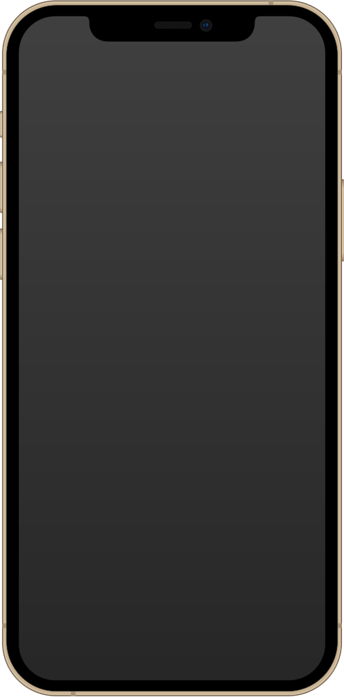 iPhone 12 Pro watermark