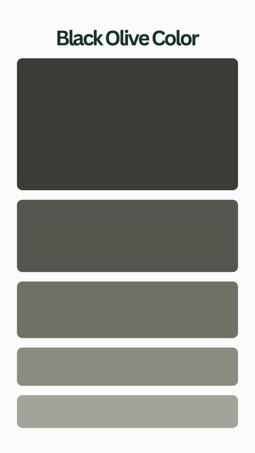 Black Olive is a deep, dark shade of green with hints of brown, resembling the color of ripe black olives. It evokes a sense of earthiness, sophistication, and subtlety. Dark Olive Gray, Dark Olive Paint, Olive Black, Olive Black Paint, Deep Olive Green, Dark Muted Olive Green, Double Wide Home, Family Room Inspiration, Gothic Interior