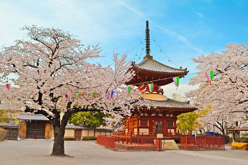 東京 週末 小旅行 プラン 東京 週末 小旅行 プランを充実させる5つのスポット