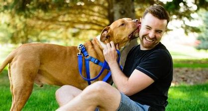 Cómo ser el mejor dueño de mascotas: una guía esencial