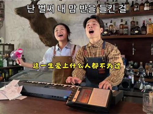 我本平凡何必完美歌词