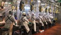 Tyson Foods denies ditching American workers from shuttered Iowa plant to hire migrants instead amid boycott | Daily Mail Online