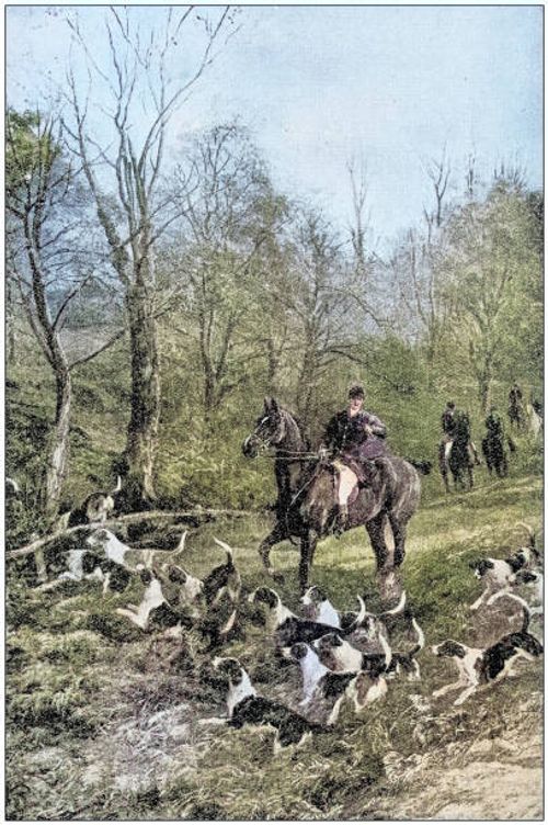 antique painting illustration: hunting - fox hunt stock illustrations