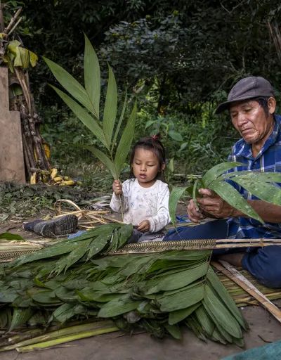 Felipe and Lesme from the Tsimane community of Gredal prepare Jatata roofs for their houses in Pilón Lajas Biosphere Reserve, Bolivia
