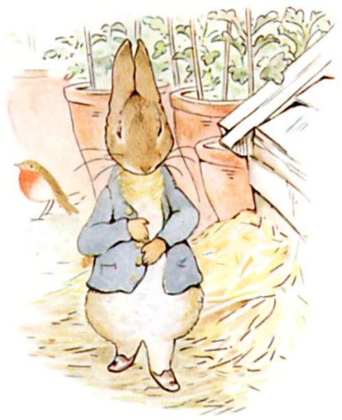 Peter Rabbit
