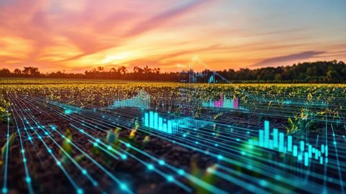 Sustainable farming at sunset in Lu’an