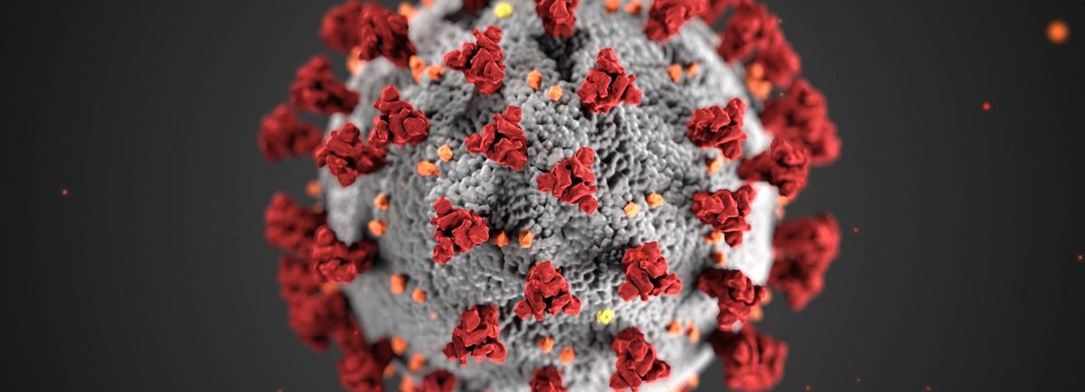 Coronavirus Disease 2019 (COVID-19)