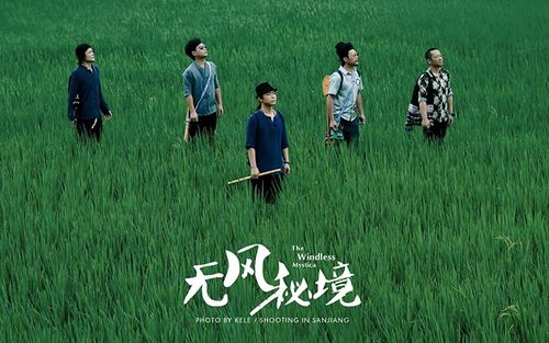 这个夏天，他们用音乐创造了最美的“无风秘境”