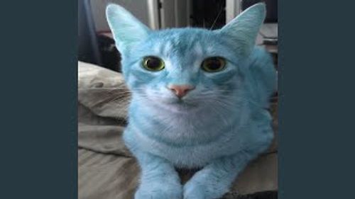 Cover art for im so blue for you