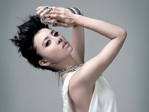 中国流行歌手蔡依林壁纸B005