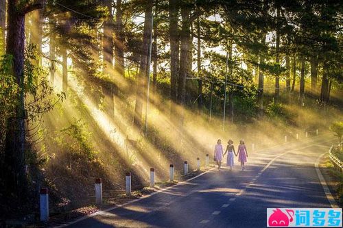 颜人中《嗜好》歌词表达、评论及赏析- 词多多