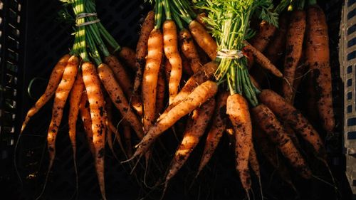 Organic Carrots Gallery 4