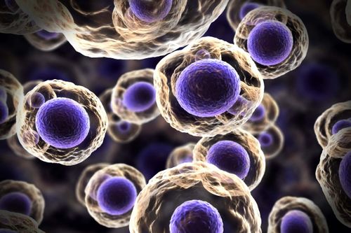 Richard Lounsbery Award