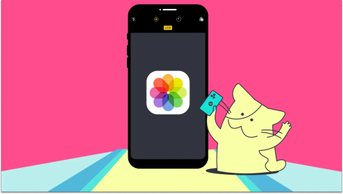 怎么把实况照片变成视频