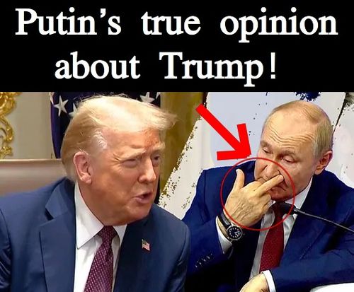 Putin's true opinion about Trump! - meme