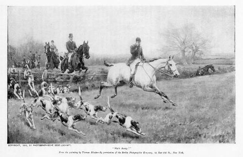 Fox Hunting on Horseback in Hark Away by  Artist Thomas Blinks A hunting party on horseback with dogs chasing a fox in "Hark Away!" by artist Thomas Blinks. Illustration published 1895. Original edition is from my own archives. Copyright has expired and is in Public Domain. fox hunting stock illustrations