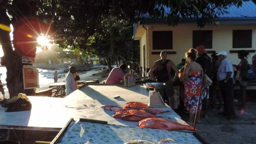 Mauritius Fishing Port and Market