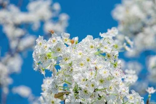 被春日温柔硬控30秒