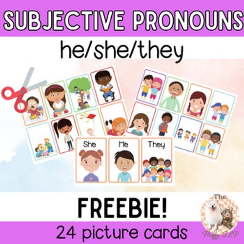 Preview of Subjective Pronouns Picture Cards | He, She, They FREEBIE