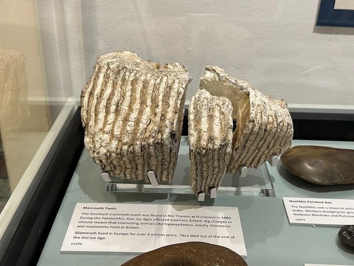 Featured exhibit at Museum of Richmond