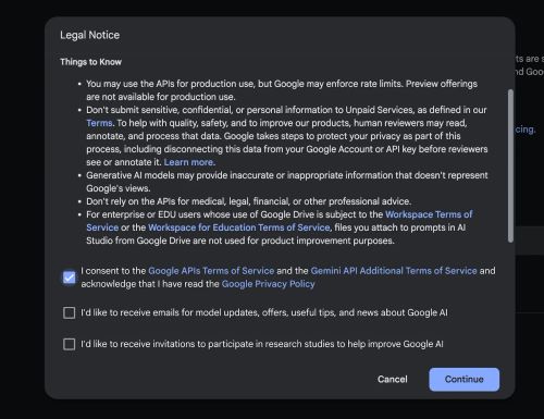 Gemini API terms of service message