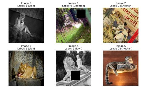 Augmented training dataset