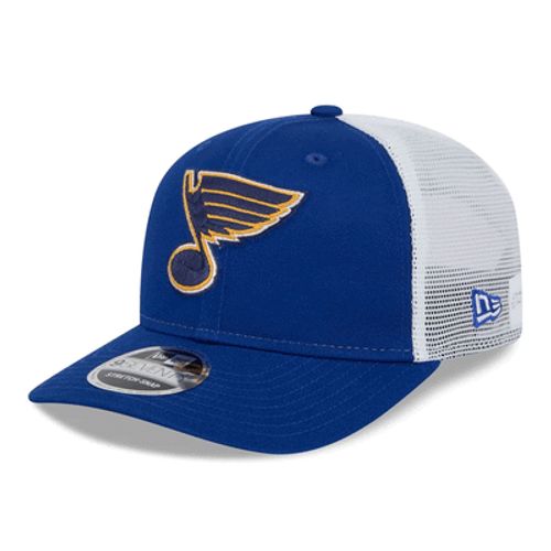 St. Louis Blues NHL Team Gear Collection