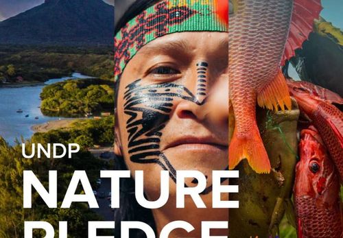 Nature Pledge publication cover