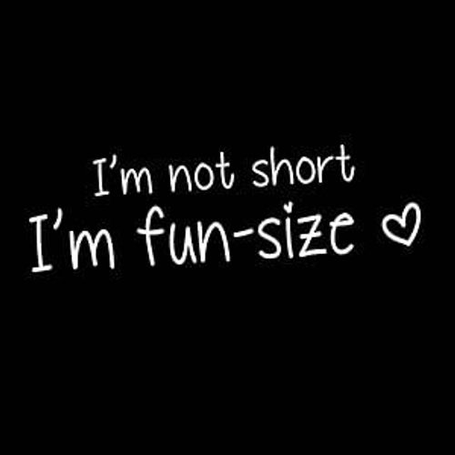 I'm Not Short I'm Fun Size Funny Short Girl 8" Vinyl Sticker Car Decal (8" White) | Cute short quotes, Short funny quotes, Short girl quotes