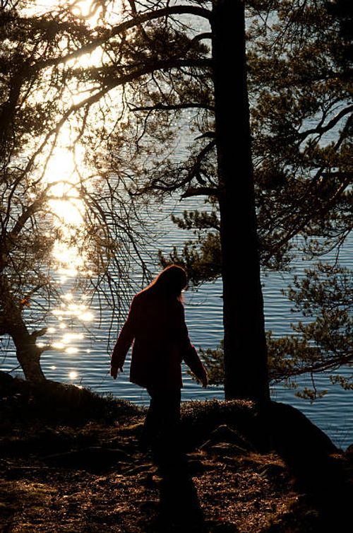 Tyresö Centrum Nature Reserve
