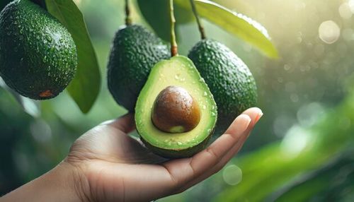 A hand holding a freshly cut avocado with more avocados hanging from a tree.