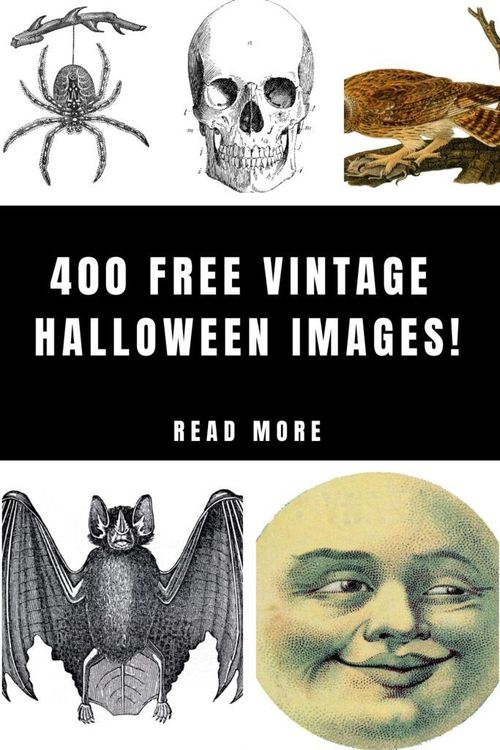 an image of halloween images with the words, free vintage halloween images read more below