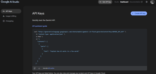 集成 Google AI Studio 获取代码与使用 API 密钥