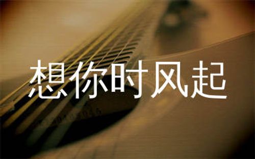 想你时风起吉他谱_单依纯_C调原版吉他谱_弹唱六线谱